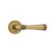 Door handle HAMILTON with rosette antique gold