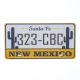 License Plate Wall Decor NEW MEXICO 1